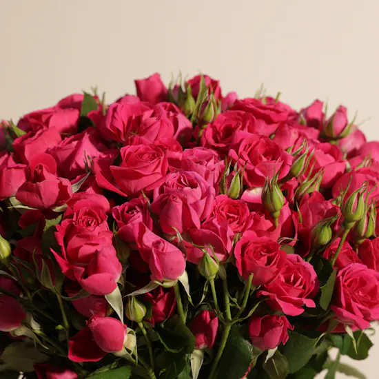Fuchsia Baby Roses Vase | 50 Flowers