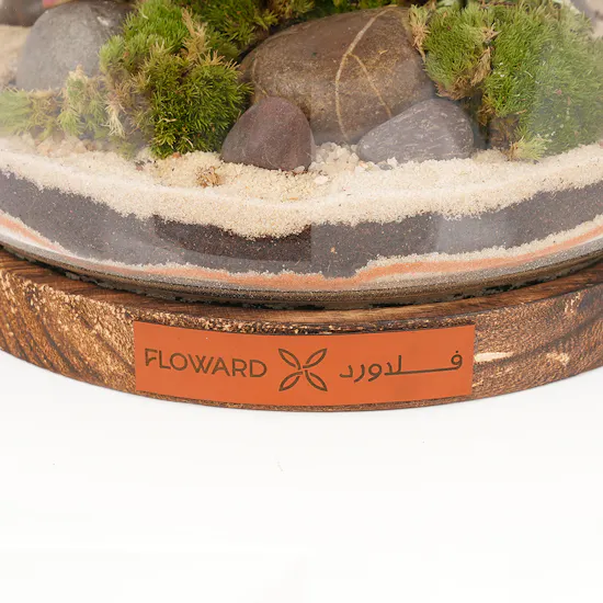 Little Fittonia Garden | Closed Terrarium