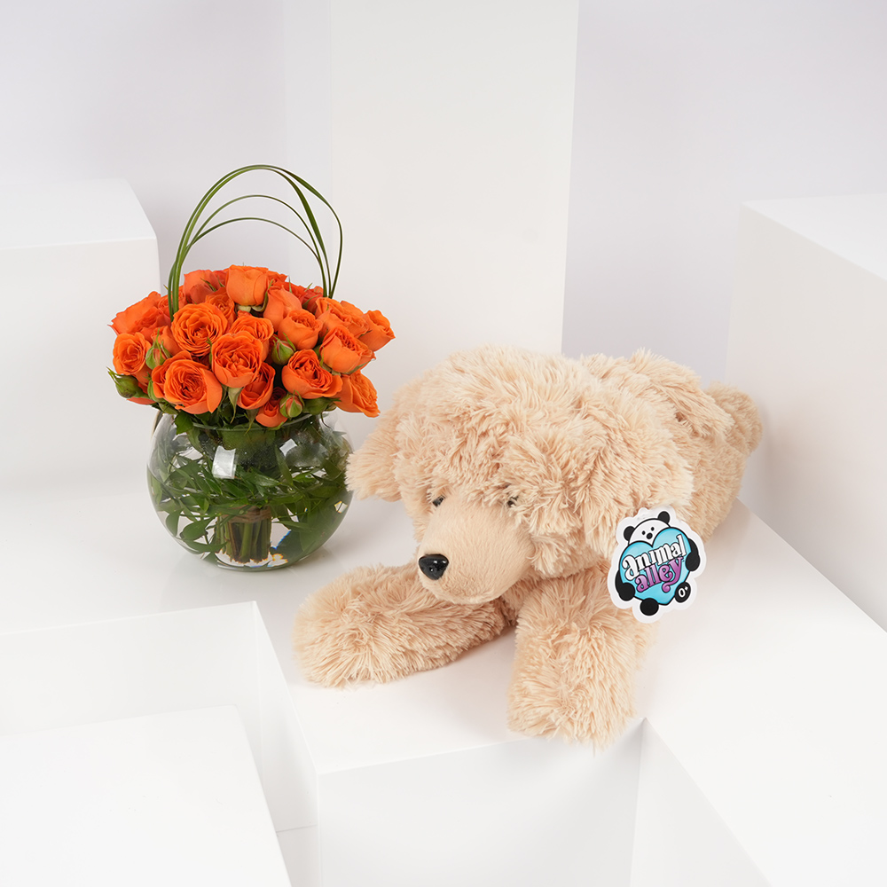 Toys R Us Animal Alley Yellow Lab | Roses