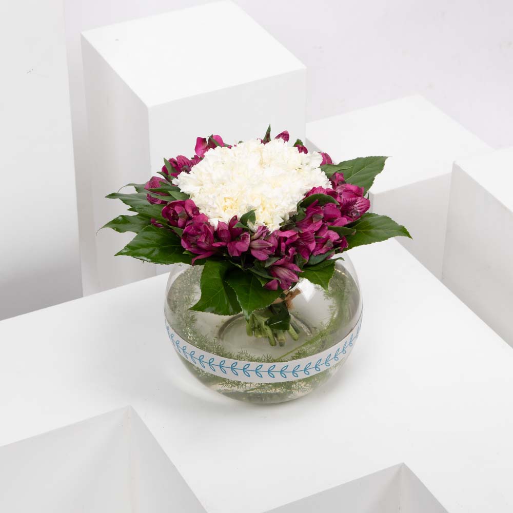 زهور الكرنيشن والالسترومريا 