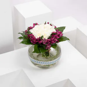 Carnation and Alstroemeria Carnation and Alstroemeria