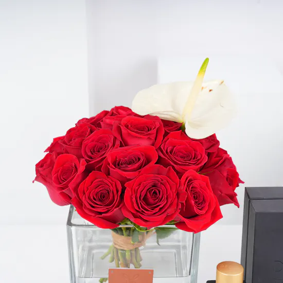 Drops Tannhauser Supreme EPD | Love Vase
