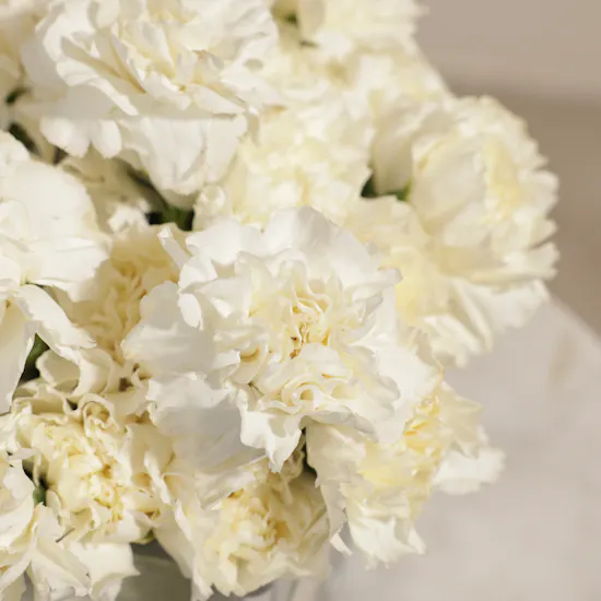 Pure Carnation Flowers Vase