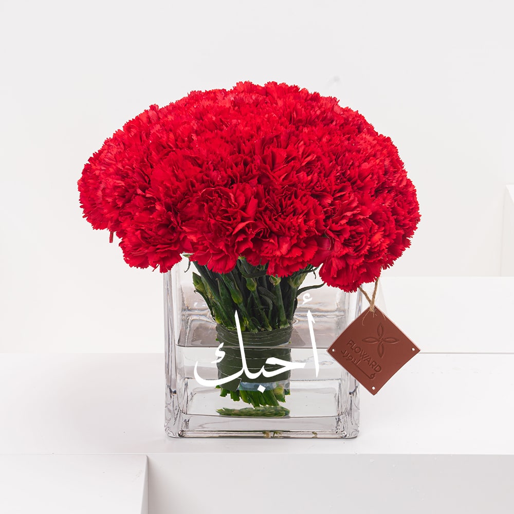 Ahebk Carnations | Square Vase 