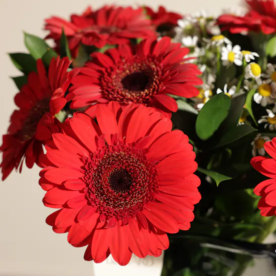 Crimson Radiance Flowers Vase
