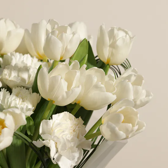Lovely White Tulips