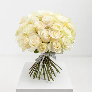 35 White Roses 