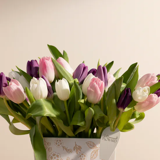 Tulip Magical Vase