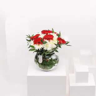 Preciously | Red Gerbera & White Chrysanths