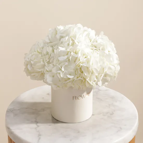 Dreamy White Hydrangea Box | 6 Flowers