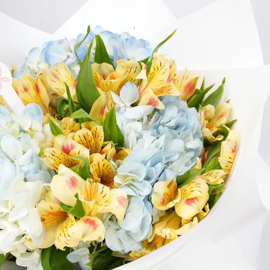 Sweet Spring | Birthday Blooms