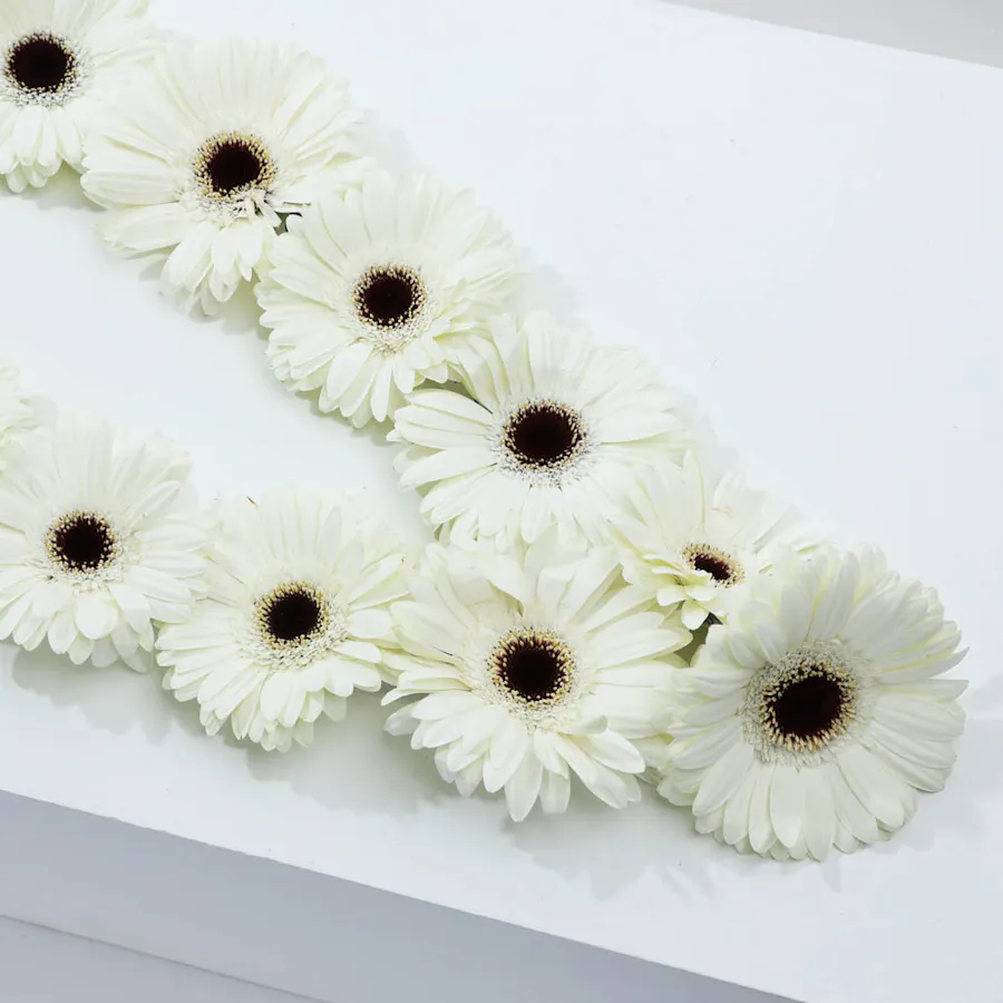 White Gerbera Necklace 4