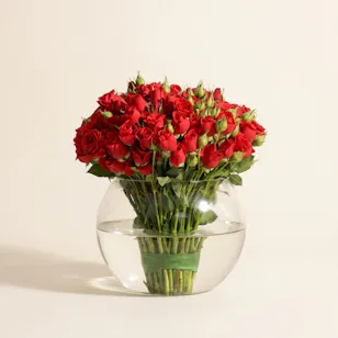 Red Baby Roses Vase | 35 Flowers