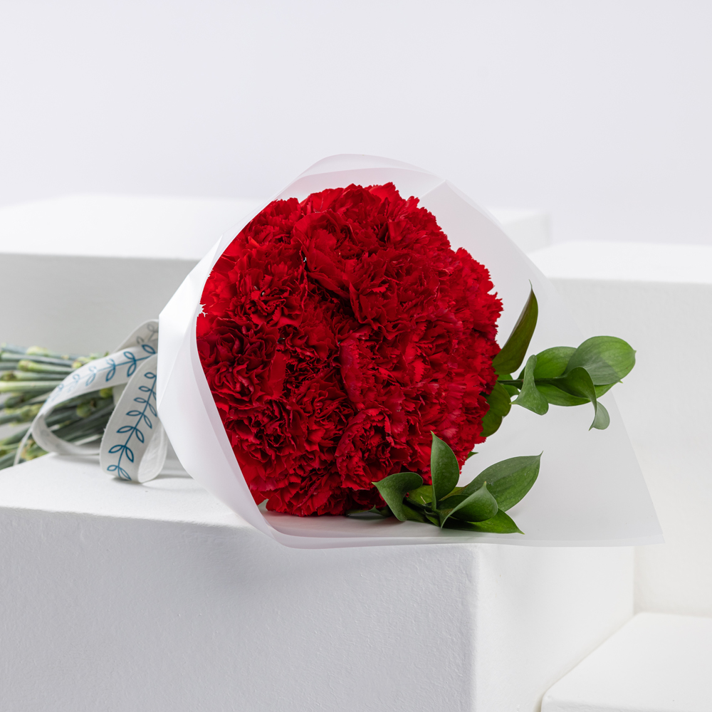 Carnations Radiance | Love Flowers | 25 Carnations 