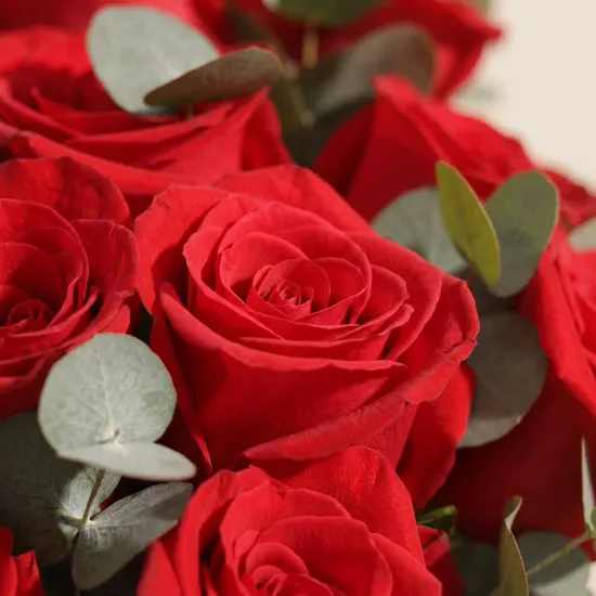 The Language of Love Roses Vase