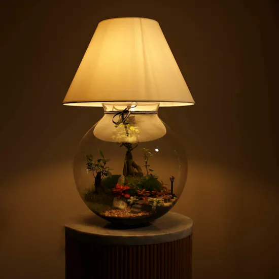 Nature's Glow Terrarium