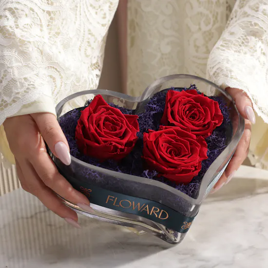 Imperial Love Red Preserved Roses Vase
