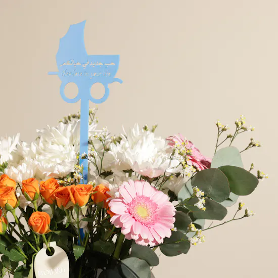 Sweet Baby Welcome Bundle