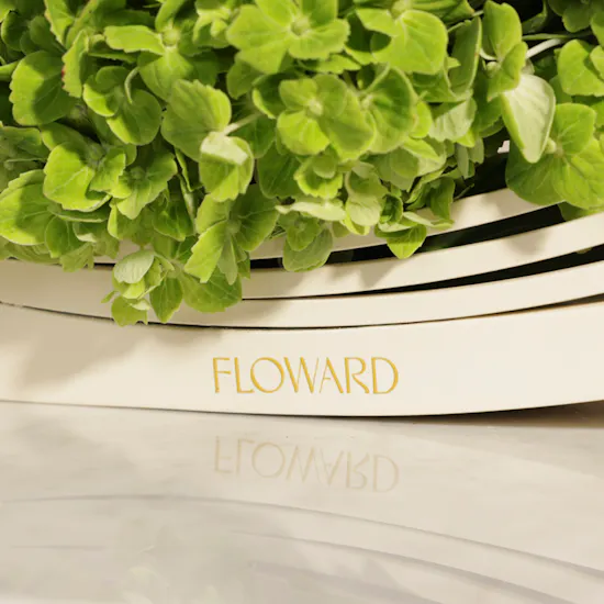 Mother Lush Green Elegance Tray
