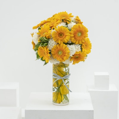 Lemonade | Cylinder Vase 