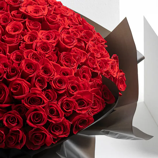 Showstopper | 250 Rose