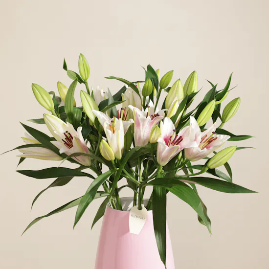 Feminine Muse Lily Vase