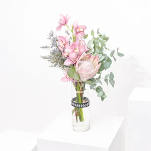 Peace Cymbedium | Glass Vase Peace Cymbedium | Glass Vase