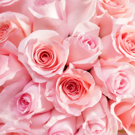 Glamorous Love Pink Rose Bouquet