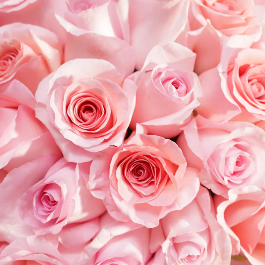 Glamorous Love Pink Rose Bouquet 5