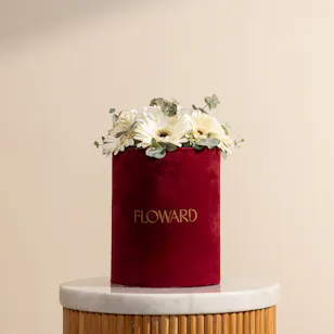 Stunning White Gerbera Box Stunning White Gerbera Box