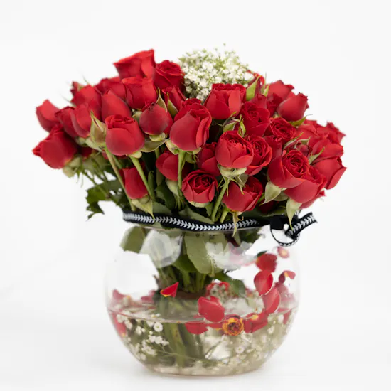 Adoration | 20 Baby Roses