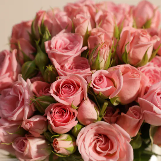 Pink Baby Roses Vase | 18 Flowers