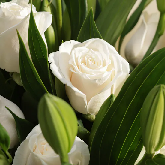 Quran on A Hilal Stand | White Flowers