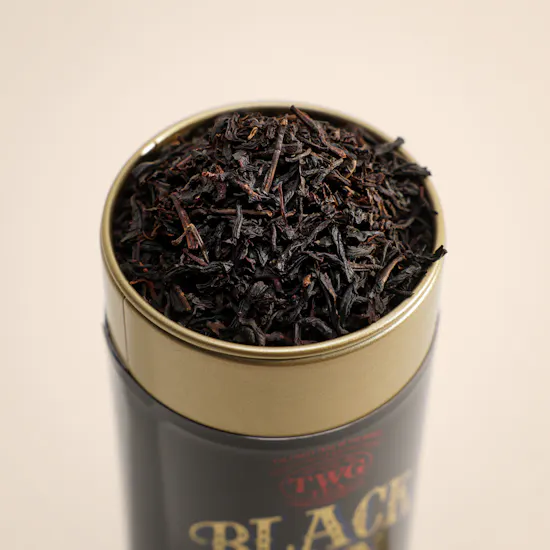 TWG Tea 1837 Black Tea | Radiant Ritual Flowers