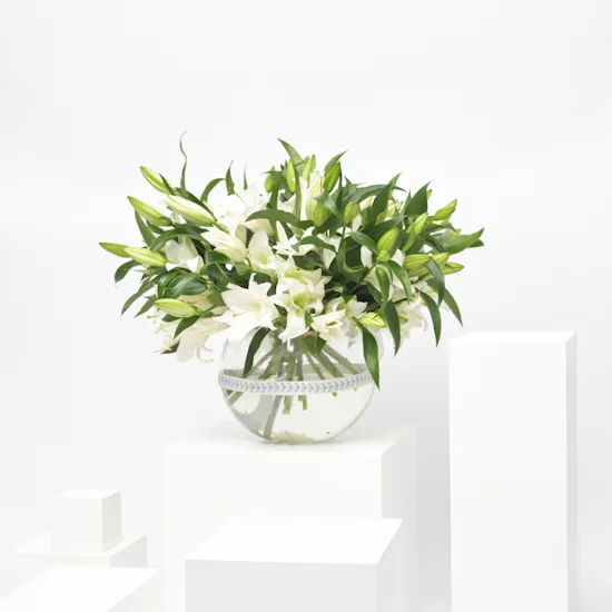 White Beauty | Flower Vase