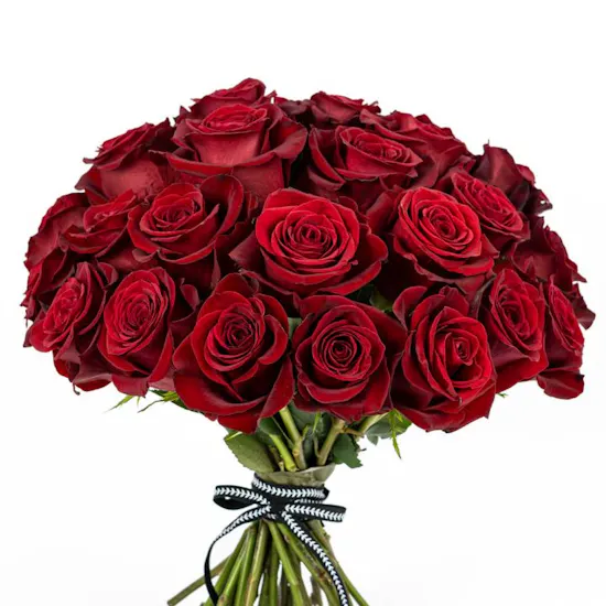 25 Red Roses Bouquet