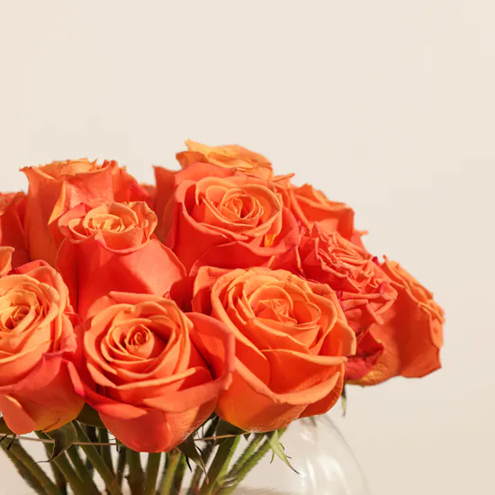 Maison Francis Kurkdjian Baccarat Rouge | Roses Vase