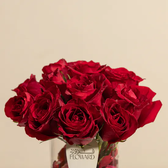 Timeless Charm Red Rose Vase