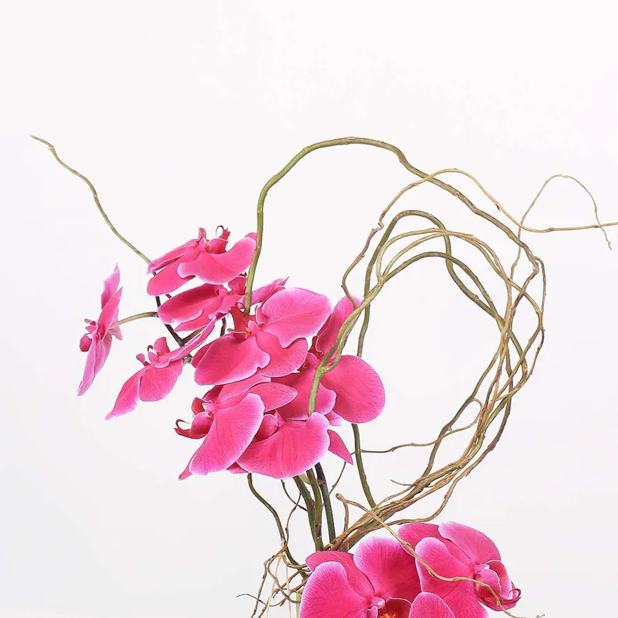 Purple Orchid | Green Vase 4