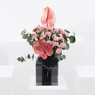 Pink Carnation | Black Vase
