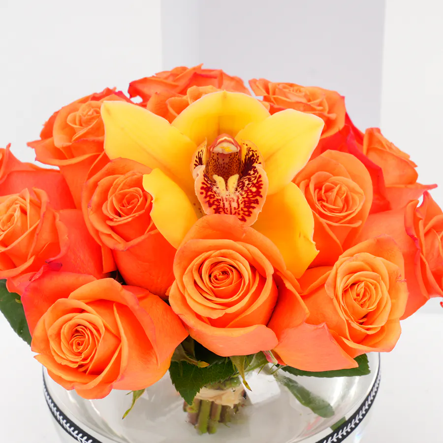 Laviviane Tiramisu Bites | Flowers  3