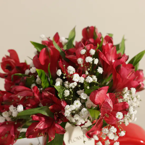 Scarlet Elegance Red Alstroemeria Vase