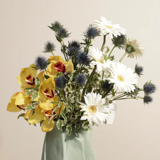 Beauty Vase