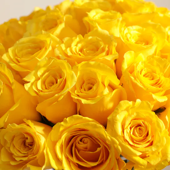 Yellow Radiance Vase | 50 Roses