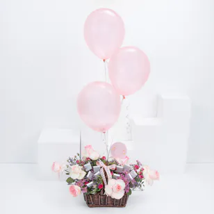 Welcome Baby Girl | Chocolates and Flowers