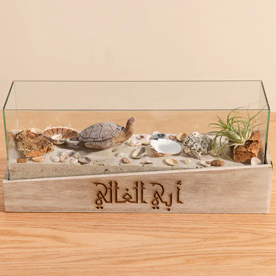 Beach Terrarium