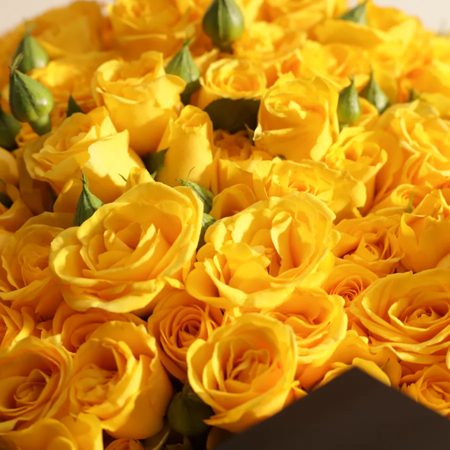 Sunshine Delight Bouquet | 100 Baby Roses 3