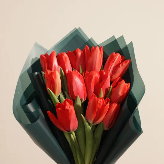 Promise Red Tulip Bouquet | 12 Flowers