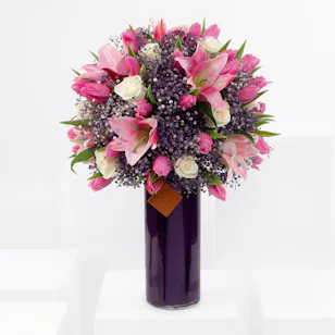 Purple Iris