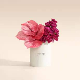 Astral Maison Flower Box